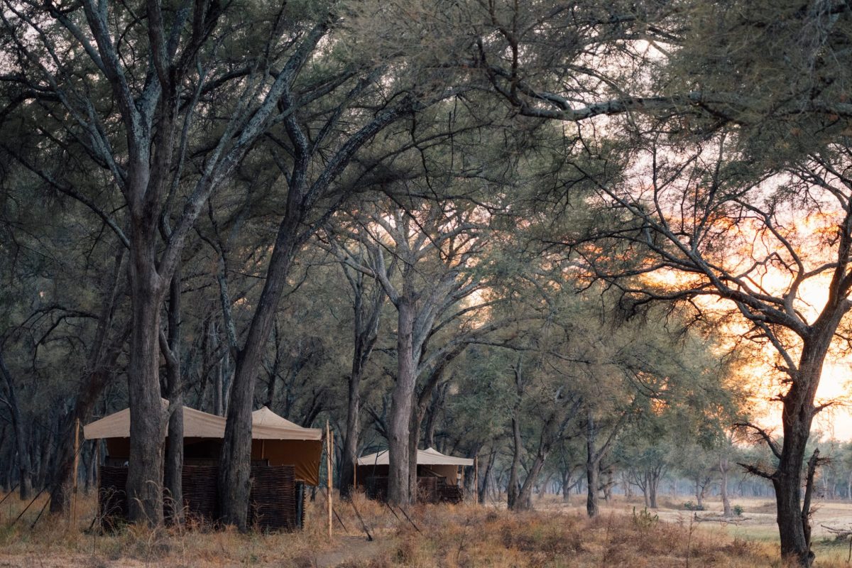 Kutali-Camp-Zambia-Lower-Zambezi-Walking-Safari-Tent1-1200x800