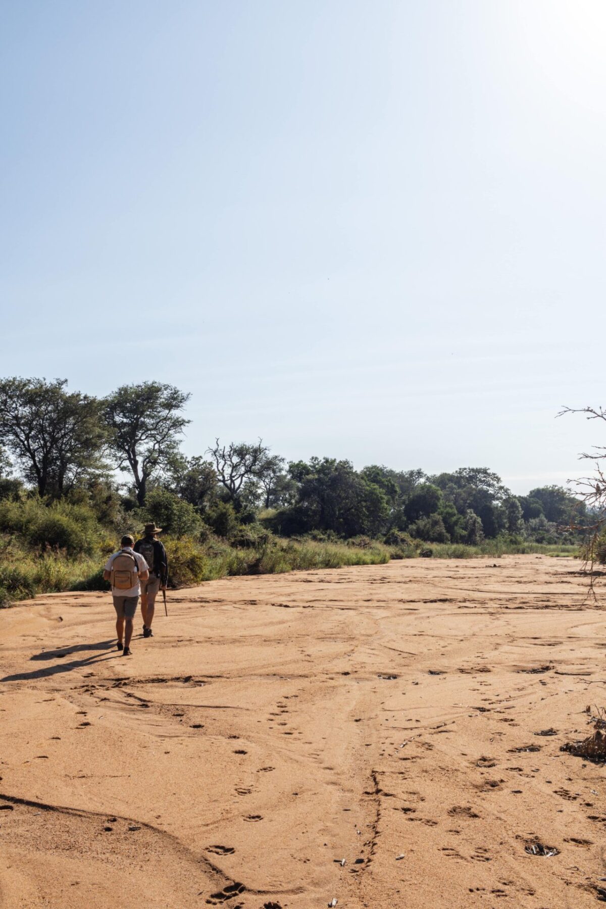 Suite mit privatem Deck und Plunge Pool in der Thornybush Game Lodge