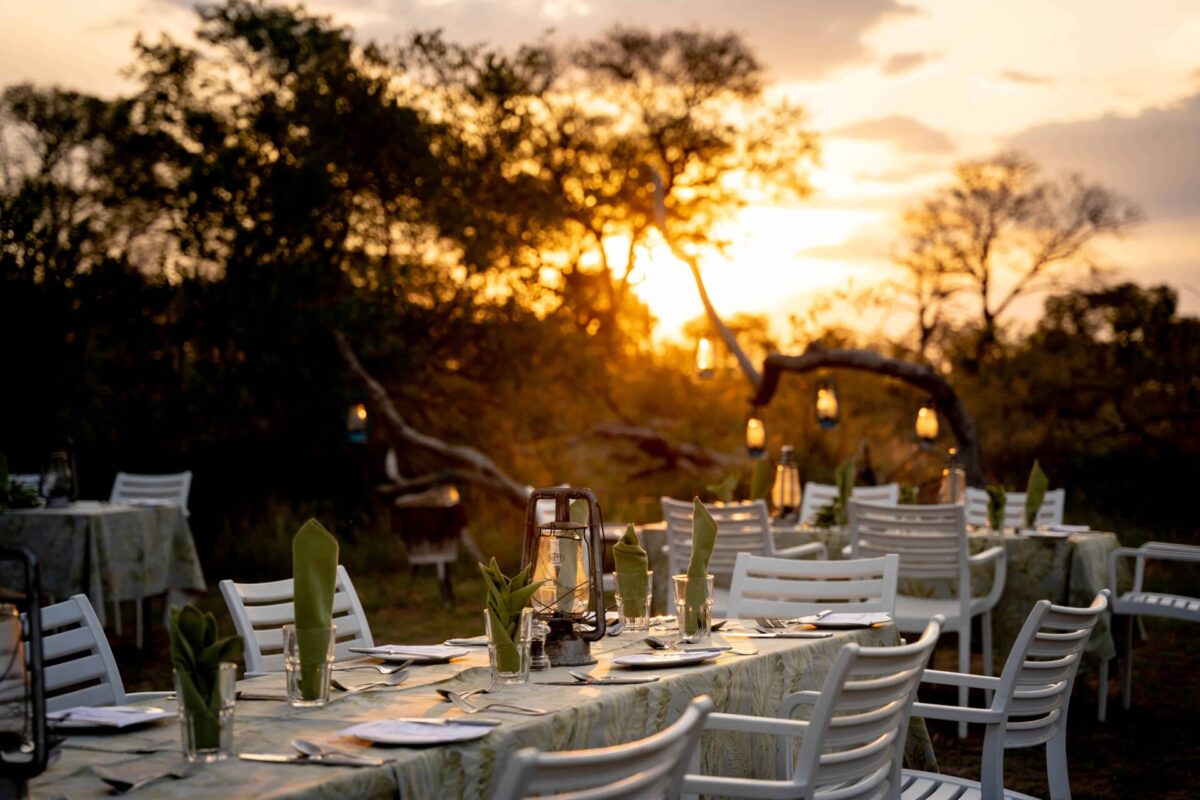 Bush Dinner unter Sternenhimmel im Thornybush Reservat