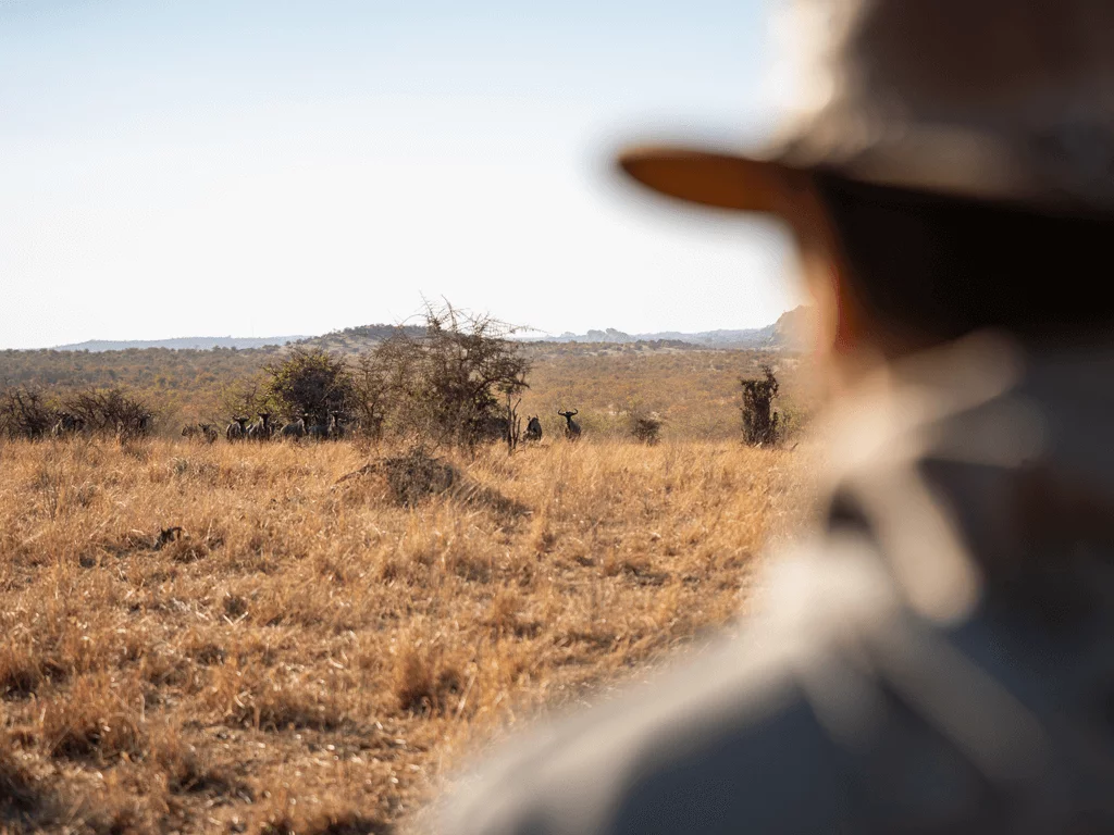 Field Guide Kurs – On-Demand