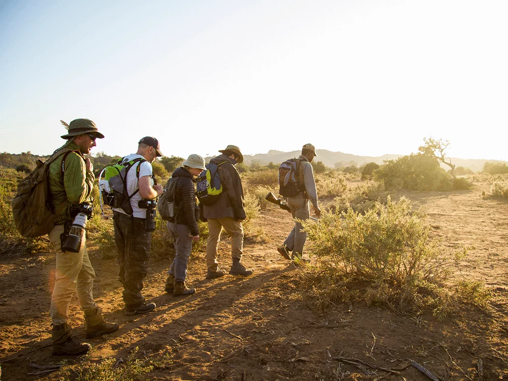 Field Guide Kurs